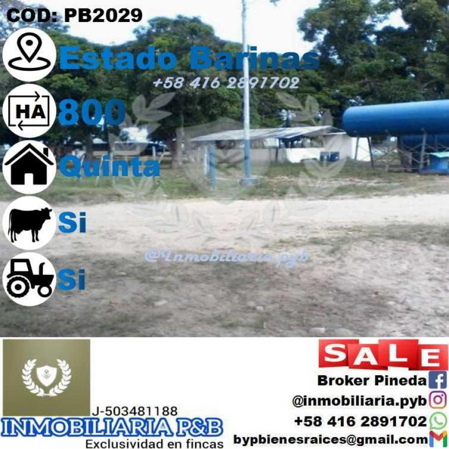 Foto Finca en Venta en Barinas, Barinas - 800 hectareas - U$D 2.000.000 - FIV194007 - BienesOnLine