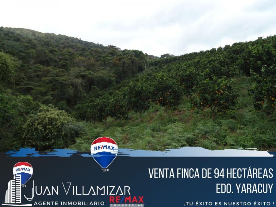 Foto Finca en Venta en Nirgua, Yaracuy - 94 hectareas - U$D 185.000 - FIV124689 - BienesOnLine