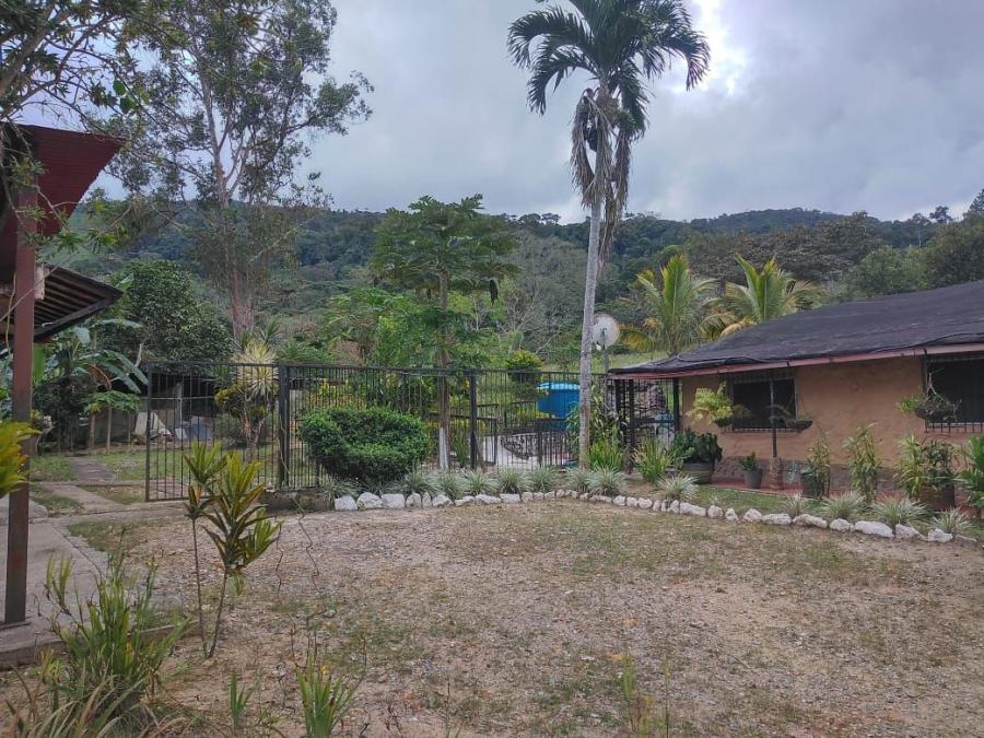 Foto Finca en Venta en CANOABO, Bejuma, Carabobo - U$D 50.000 - FIV223003 - BienesOnLine