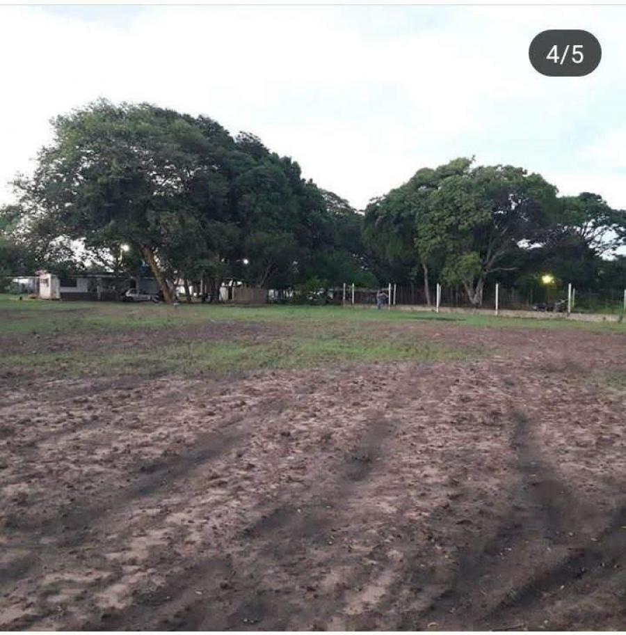 Foto Finca en Venta en Ciudad Guayana, Bolvar - 2 hectareas - U$D 9.000 - FIV150945 - BienesOnLine