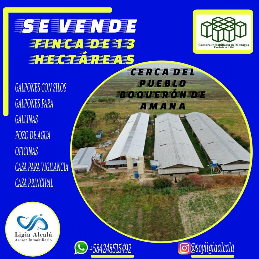 Foto Finca en Venta en Maturn, Monagas - FIV170173 - BienesOnLine