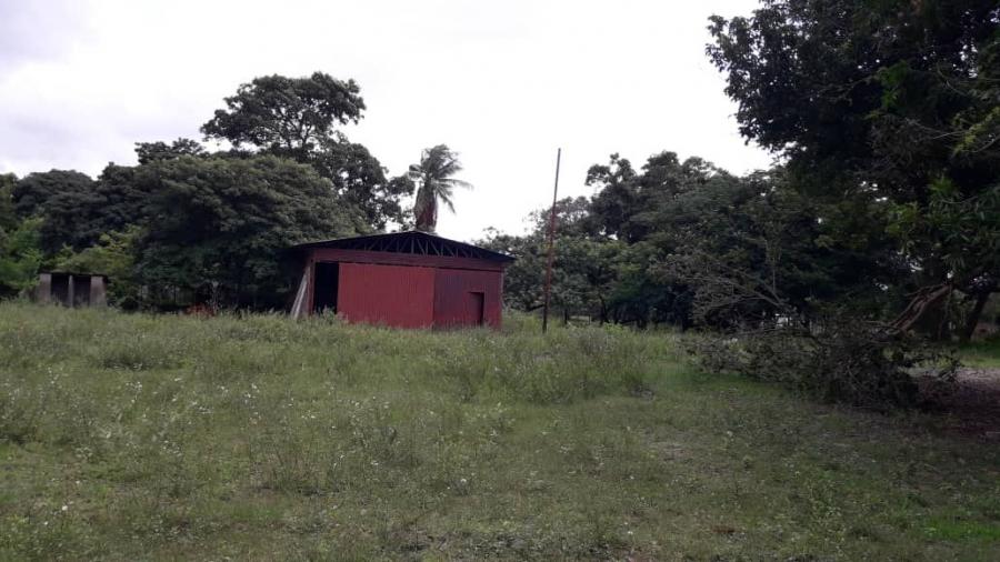 Foto Finca en Venta en Ciudad Guayana, Bolvar - 2 hectareas - U$D 9.500 - FIV150749 - BienesOnLine