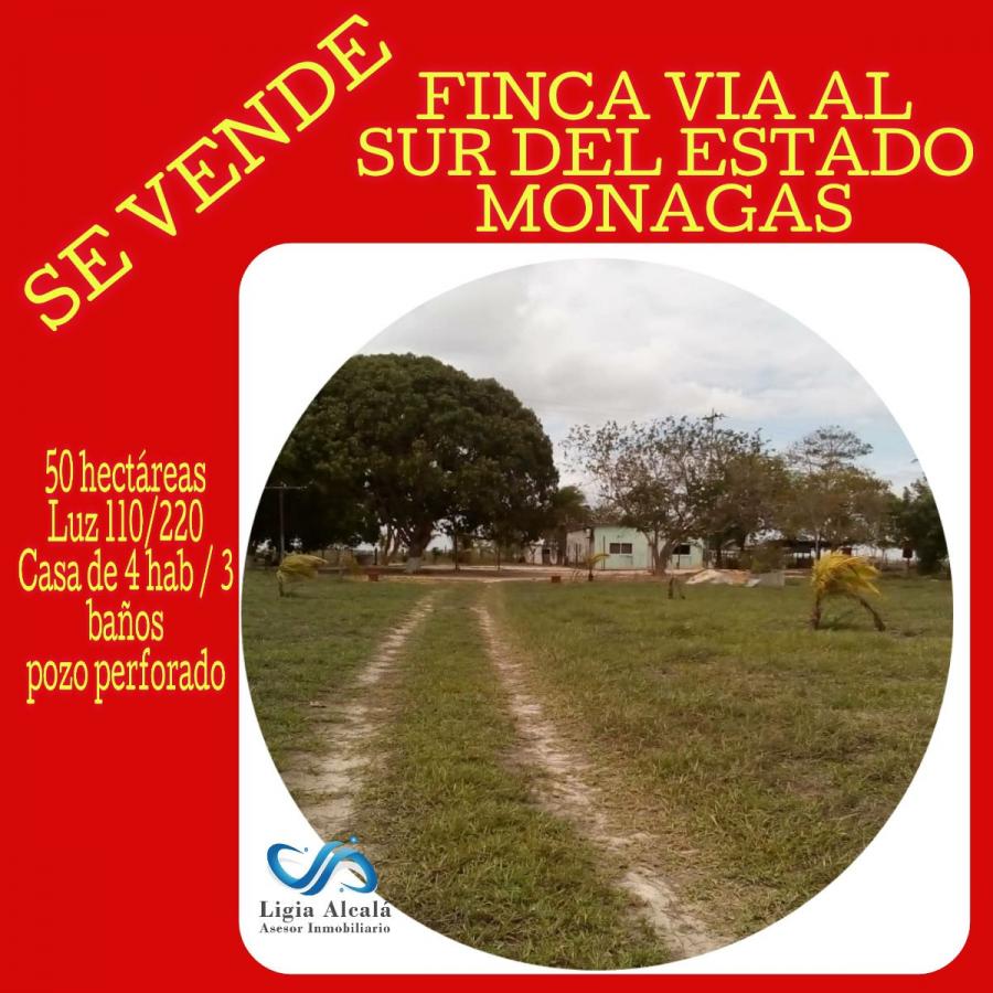 Foto Finca en Venta en Maturin, Maturn, Monagas - FIV166282 - BienesOnLine