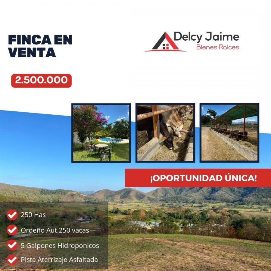 Foto Finca en Venta en Bejuma, Carabobo - U$D 2.500.000 - FIV203357 - BienesOnLine