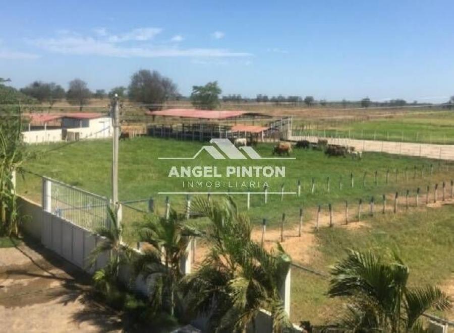 Foto Finca en Venta en Coro, Falcn - U$D 95.000 - FIV198701 - BienesOnLine