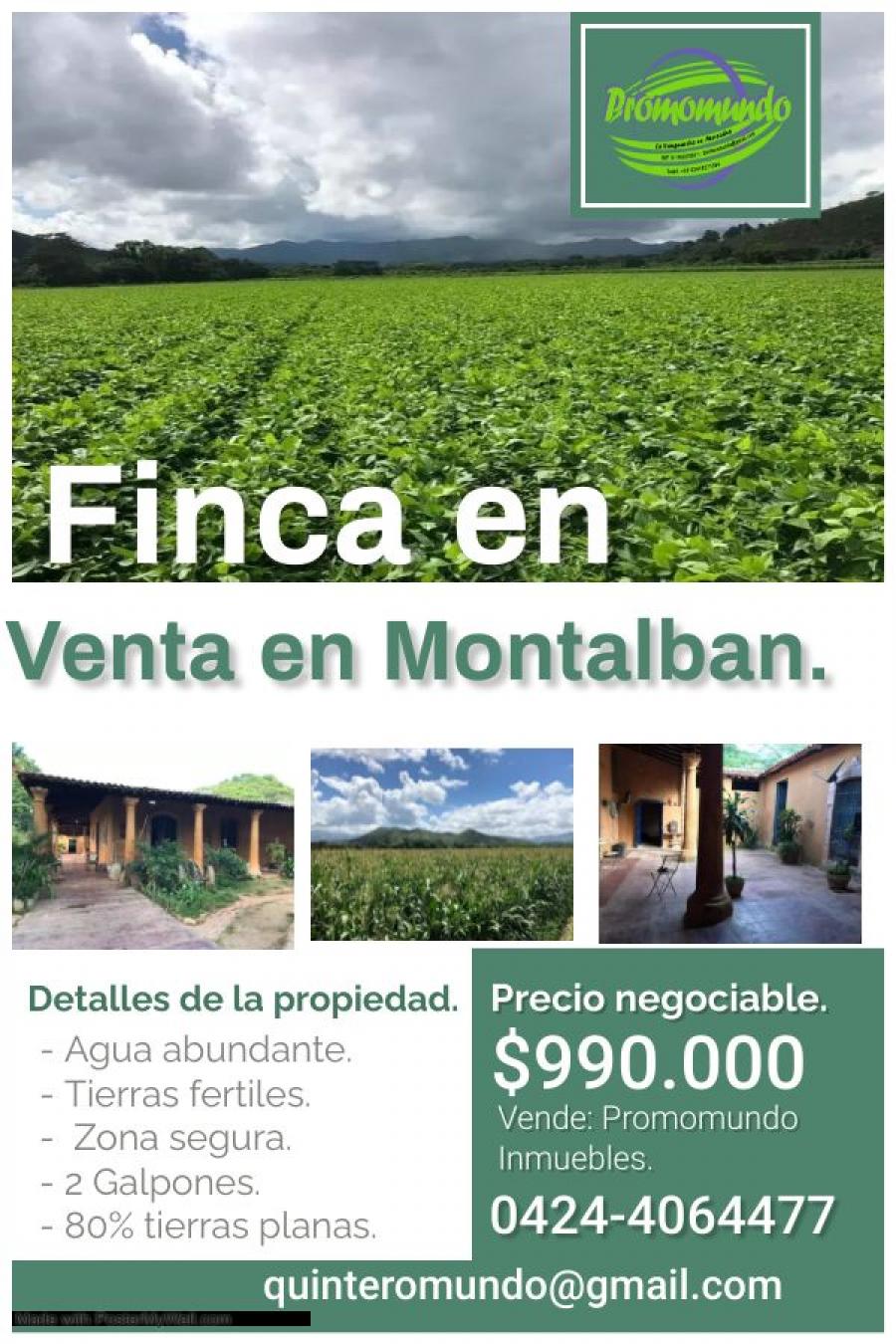 Foto Finca en Venta en Montalbn, Montalbn, Carabobo - U$D 990.000 - FIV207069 - BienesOnLine
