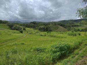 Finca en venta en San Carlos, Cojedes Tinaquillo