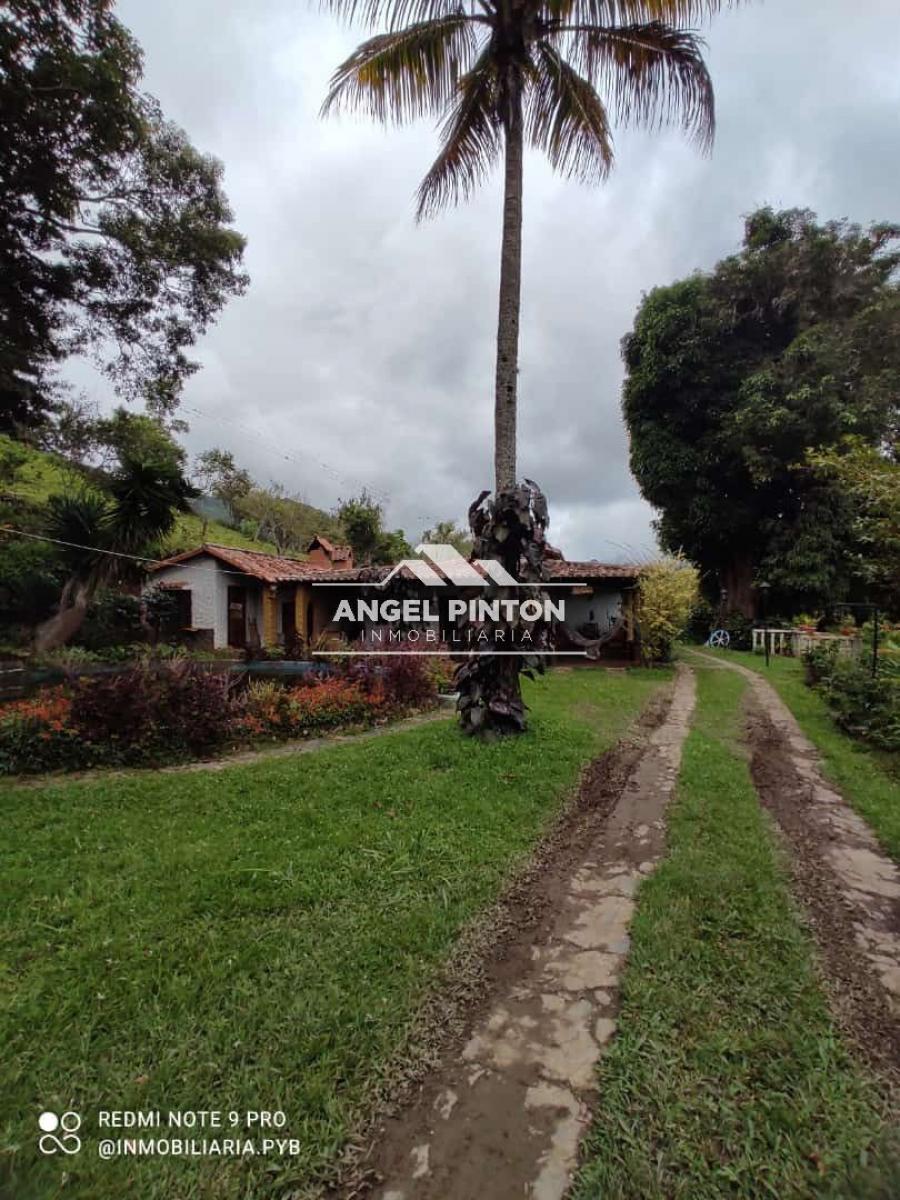 Foto Finca en Venta en Trujillo, Trujillo - 67 hectareas - U$D 259.999 - FIV254228 - BienesOnLine