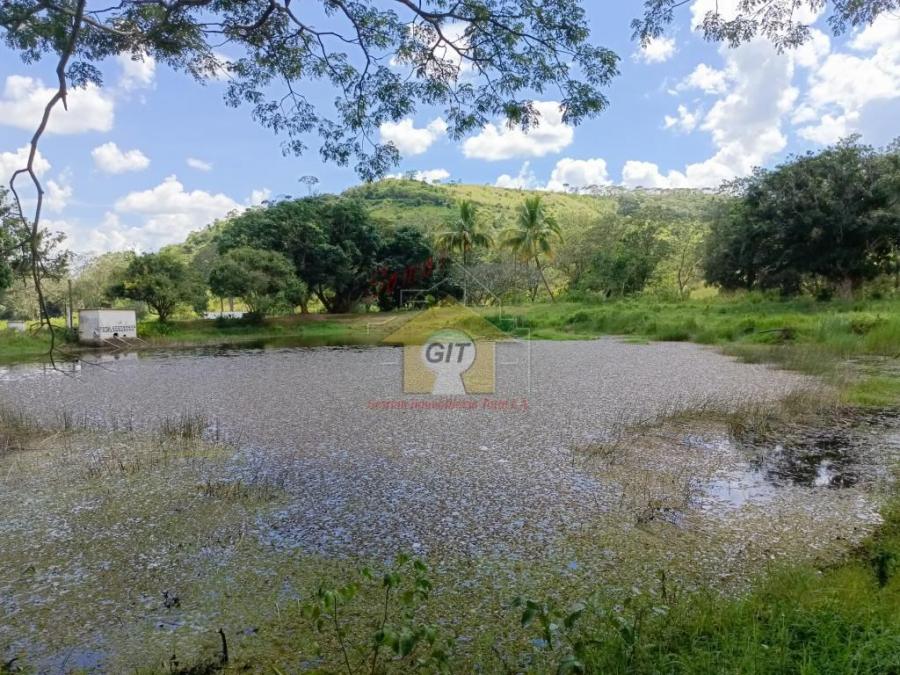 Foto Finca en Venta en Miranda, Carabobo - U$D 350.000 - FIV216450 - BienesOnLine