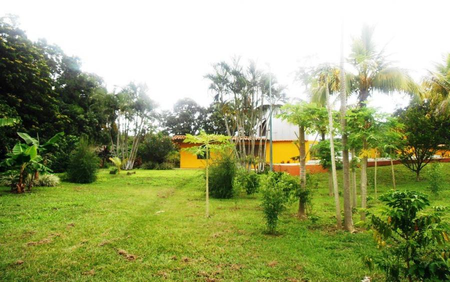 Foto Finca en Venta en guacara, Guacara, Carabobo - U$D 120.000 - FIV177323 - BienesOnLine