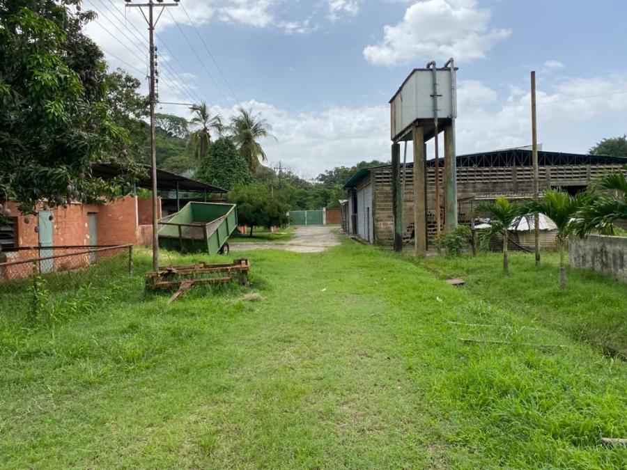 Foto Finca en Venta en @phagrovzla, Valencia, Carabobo - 50 hectareas - U$D 250.000 - FIV187436 - BienesOnLine