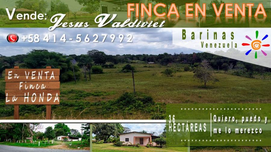 Foto Finca en Venta en Dominga Ortiz de Paez, Carretera Via Camiri, Barinas - BsF 85 - FIV123289 - BienesOnLine