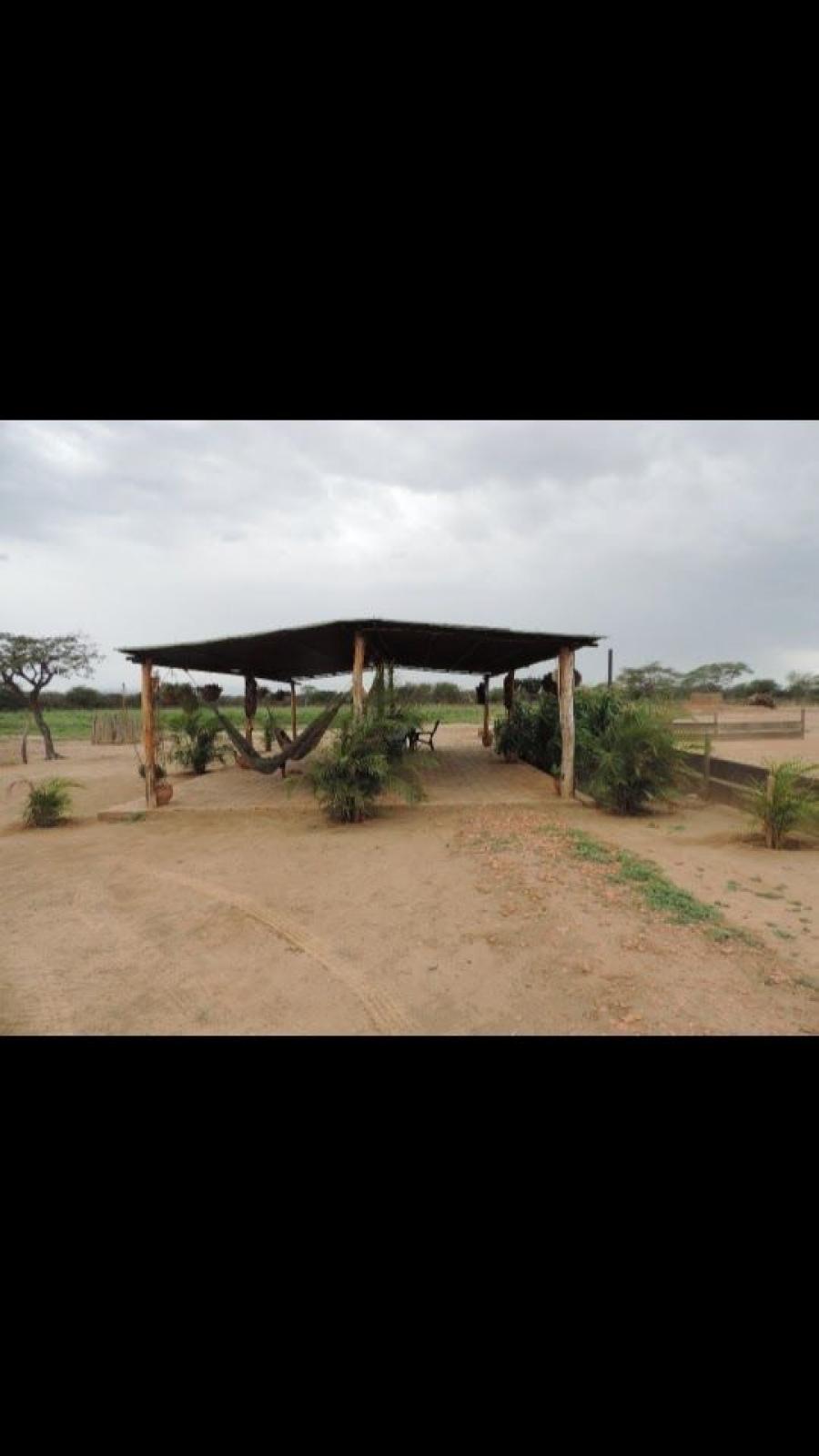 Foto Finca en Venta en CARORA, Lara - 57 hectareas - U$D 45.000 - FIV205726 - BienesOnLine