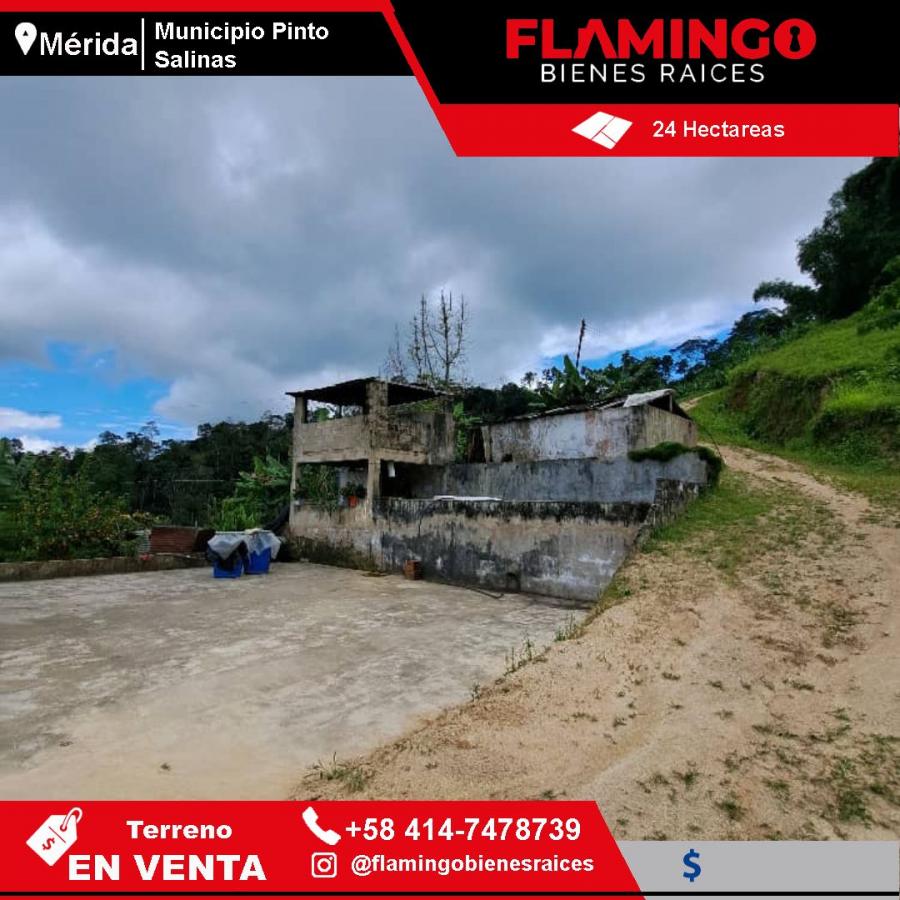 Foto Finca en Venta en Santa Cruz de Mora, Mrida - 24 hectareas - U$D 100.000 - FIV220826 - BienesOnLine
