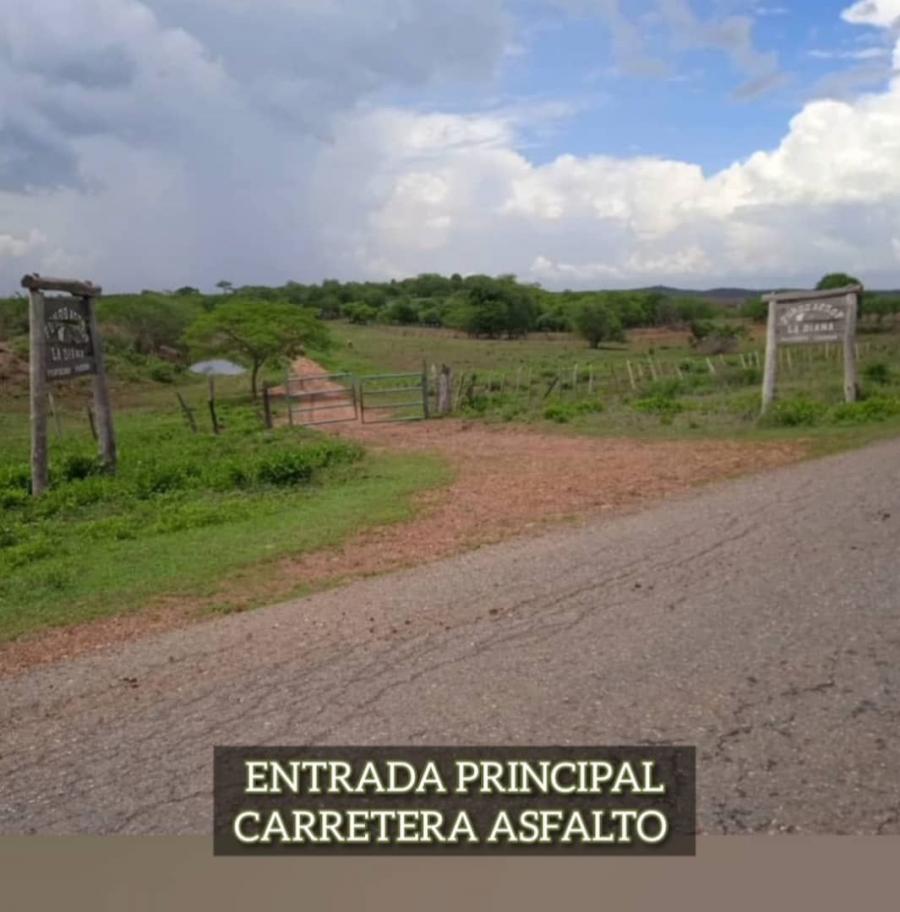 Foto Finca en Venta en Altagracia de Orituco, Gurico - 150 hectareas - U$D 40.000 - FIV153796 - BienesOnLine