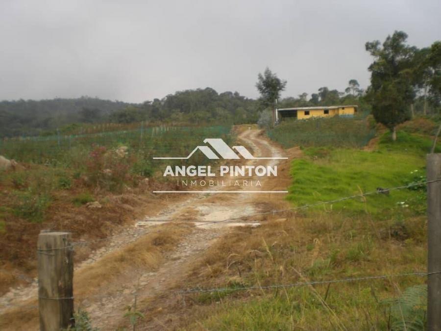 Foto Finca en Venta en San Cristbal, Tchira - U$D 28.000 - FIV203658 - BienesOnLine