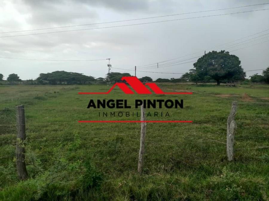 Foto Finca en Venta en Los Puertos de Altagracia, Zulia - U$D 43.000 - FIV174895 - BienesOnLine