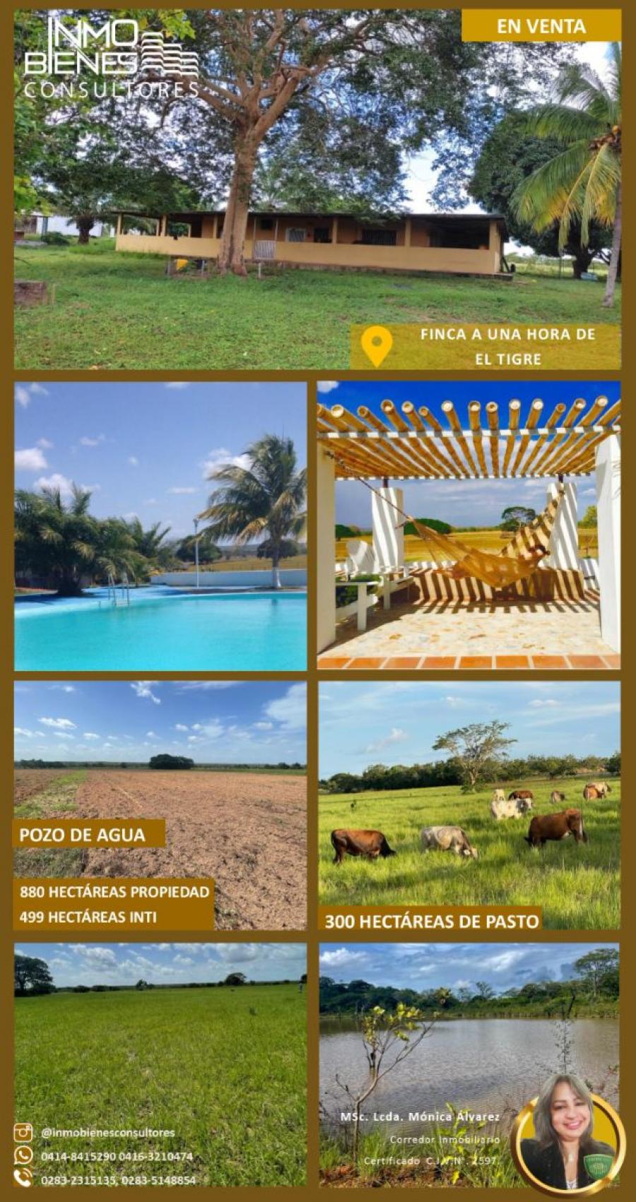 Foto Finca en Venta en El Tigre, Anzotegui - U$D 210.000 - FIV214019 - BienesOnLine