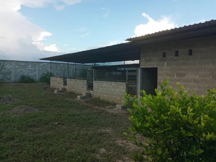 Foto Finca en Venta en Villa de Cura-Turagua, sector Tamboron., Villa de Cura, Aragua - U$D 52.500 - FIV226434 - BienesOnLine