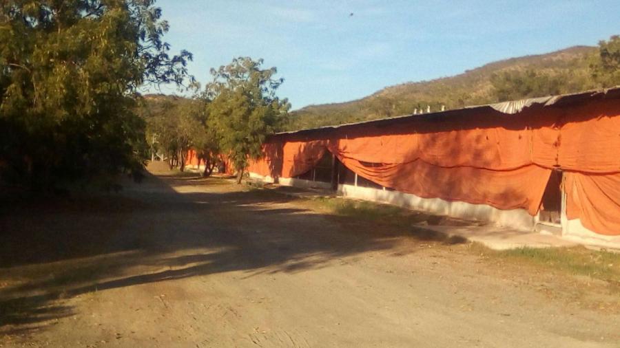 Foto Finca en Venta en Valles de Tucutunemo, Villa de Cura, Aragua - BsF 600.000 - FIV122158 - BienesOnLine