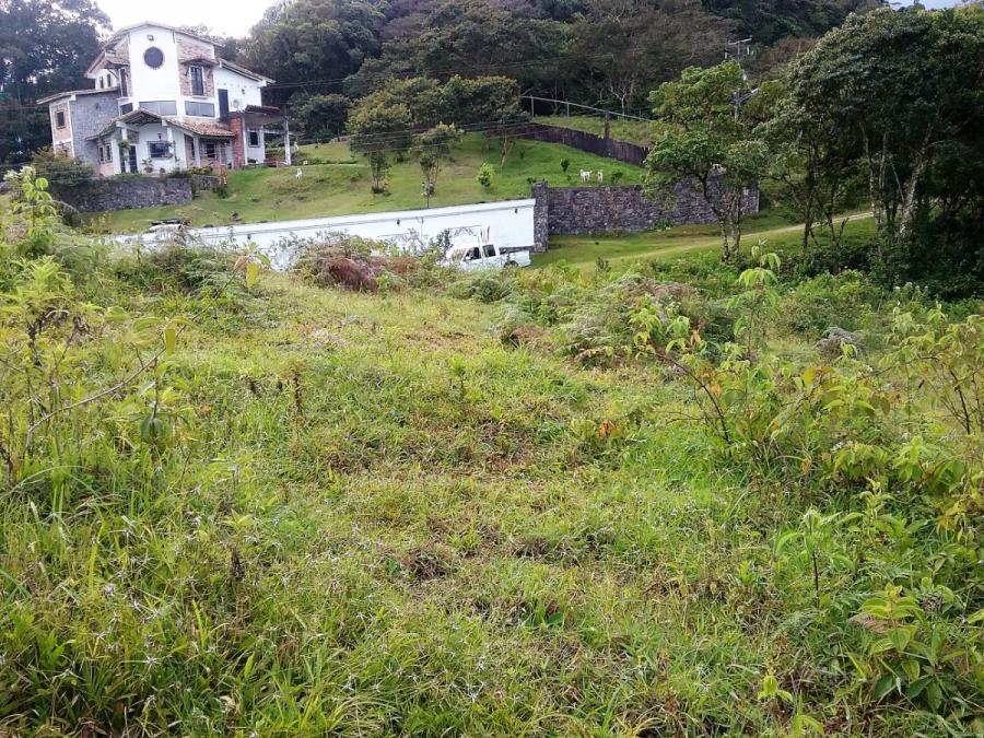 Foto Terreno en Venta en El Valle, San Cristbal, Tchira - U$D 3.800 - TEV185268 - BienesOnLine