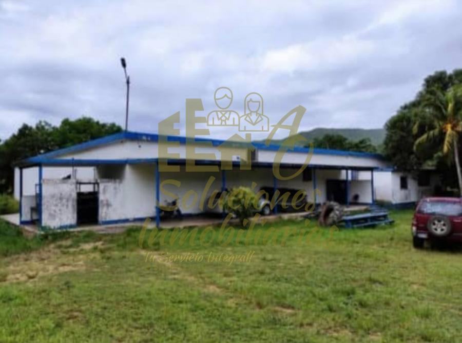 Foto Hacienda en Venta en Bejuma, Carabobo - 70 hectareas - U$D 350.000 - HAV209027 - BienesOnLine