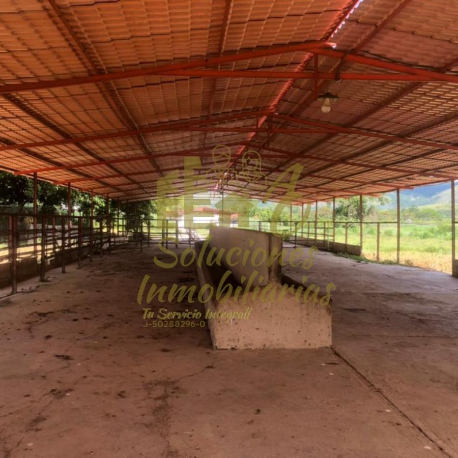 Foto Hacienda en Venta en Bejuma, Carabobo - 10 hectareas - U$D 100.000 - HAV209022 - BienesOnLine