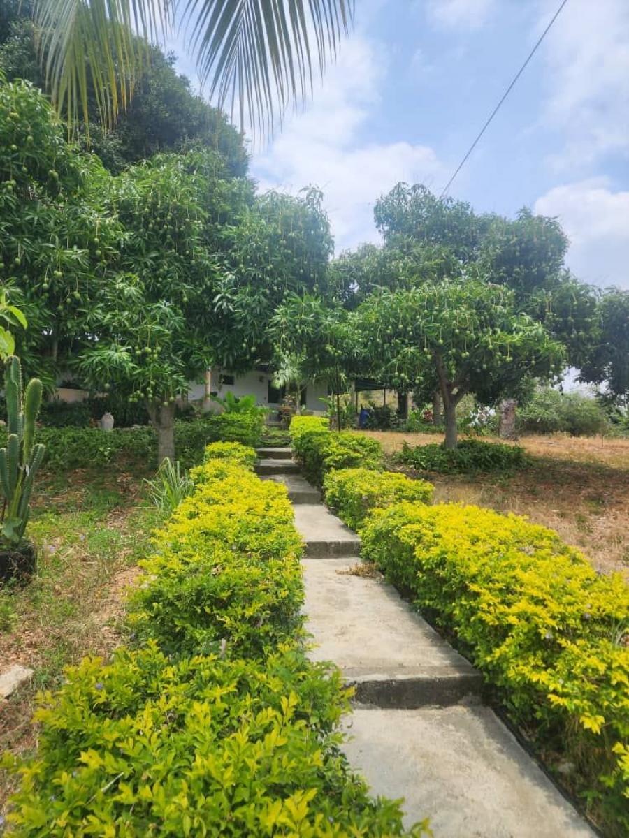 Foto Terreno en Venta en Barquisimeto, Lara - U$D 45.000 - TEV251598 - BienesOnLine