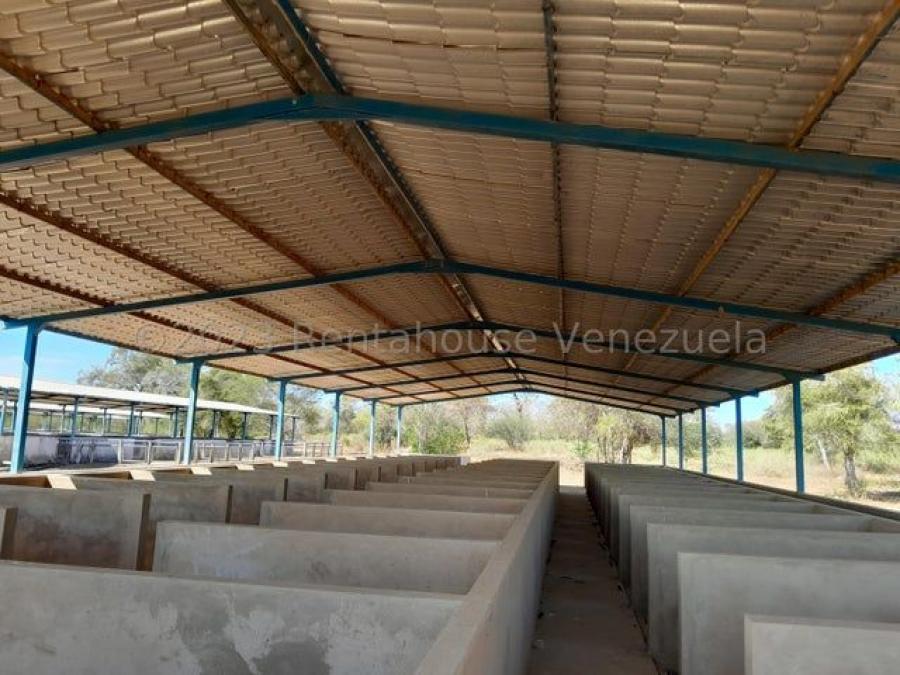 Foto Hacienda en Venta en santa rita, Lara - U$D 125.000 - HAV219833 - BienesOnLine