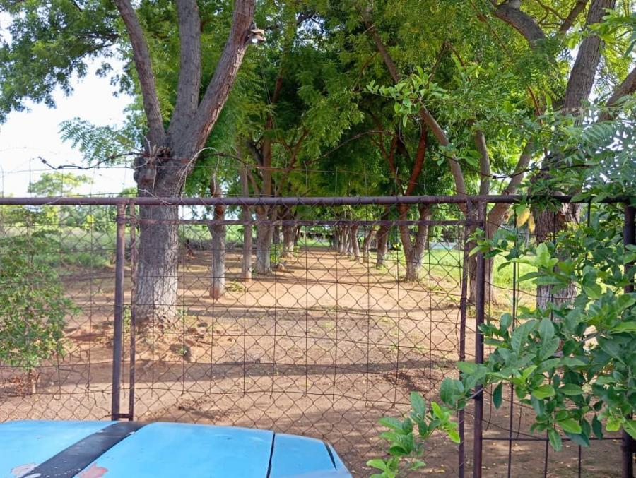 Foto Finca en Venta en FRANCISCO EUGENIO BUSTAMANTE, Via Palito Blanco, Maracaibo, Zulia, Venezuela, Zulia - U$D 93.500 - FIV206954 - BienesOnLine