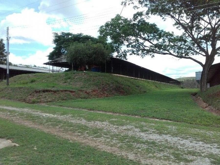 Foto Hacienda en Venta en Tinaquillo, Cojedes - 140 hectareas - U$D 1.000.000 - HAV187692 - BienesOnLine