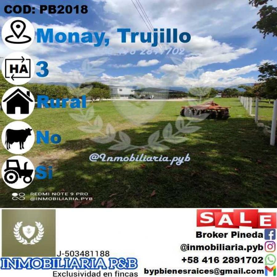 Foto Finca en Venta en Pampn, Trujillo - 3 hectareas - U$D 110.000 - FIV193067 - BienesOnLine