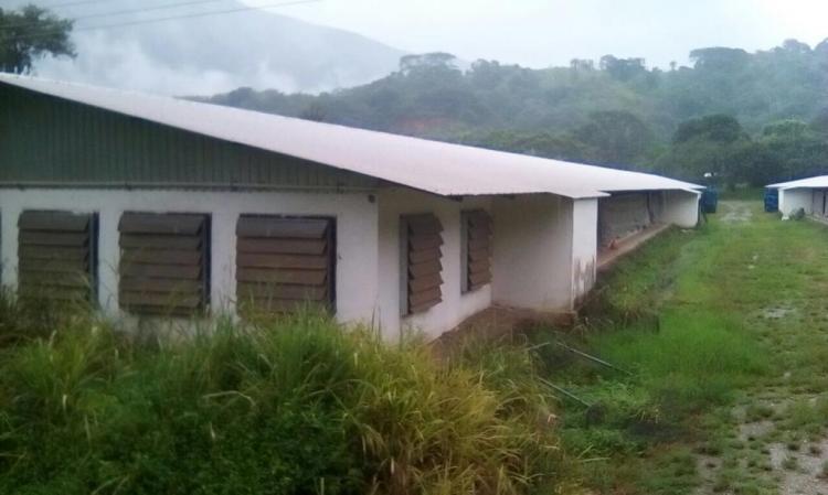 Foto Finca en Venta en La Victoria, El Pao de Zarate, Aragua - 10 hectareas - BsF 500.000 - FIV111723 - BienesOnLine