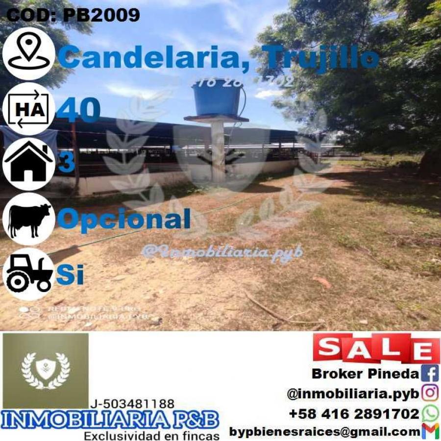 Foto Finca en Venta en Sabana Grande, Trujillo - 40 hectareas - U$D 450.000 - FIV194653 - BienesOnLine