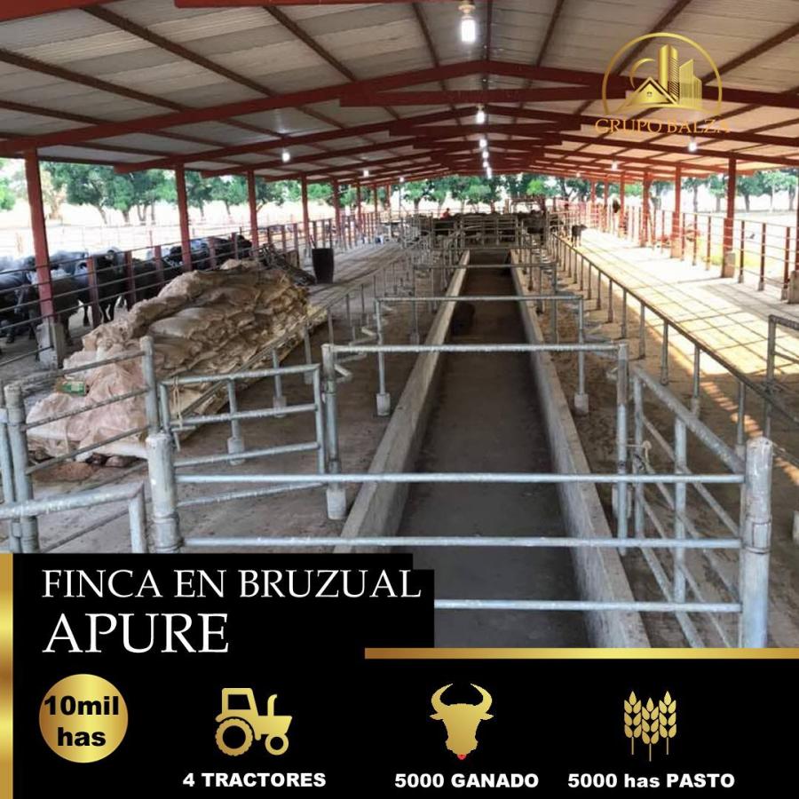 Foto Hacienda en Venta en Bruzual, Apure - 10 hectareas - U$D 8.000.000 - HAV146173 - BienesOnLine