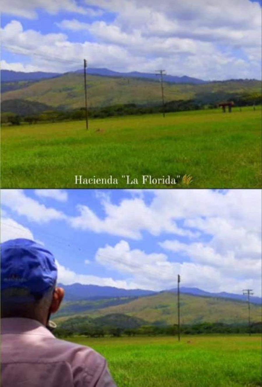 Foto Hacienda en Venta en Miranda, Carabobo - U$D 380.000 - HAV187688 - BienesOnLine
