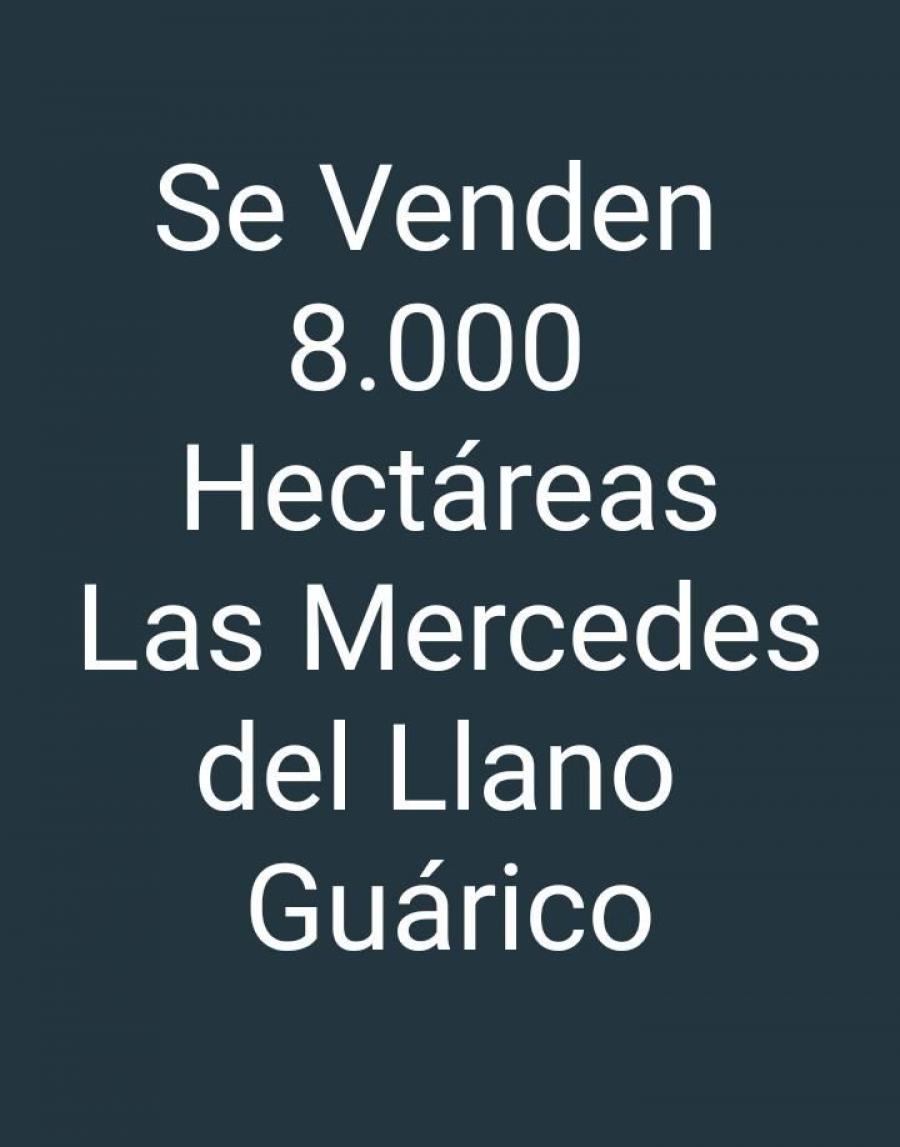 Foto Finca en Venta en @phagrovzla, Hato en Venta 8.000 Hectreas, Las Mercedes, Guari, Gurico - U$D 1.400.000 - FIV142142 - BienesOnLine