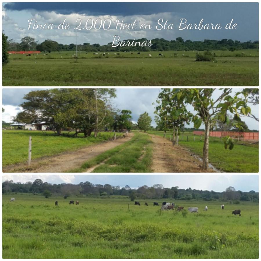 Foto Hacienda en Venta en PAEZ, MANTECAL, Apure - U$D 4.000.000 - HAV113501 - BienesOnLine