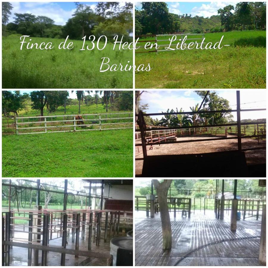Foto Hacienda en Venta en Achaguas, Achaguas, Apure - U$D 3.500 - HAV113502 - BienesOnLine