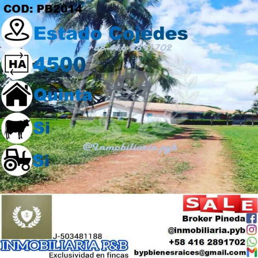 Foto Finca en Venta en El Pao, Cojedes - 4500 hectareas - U$D 3.700.000 - FIV201337 - BienesOnLine