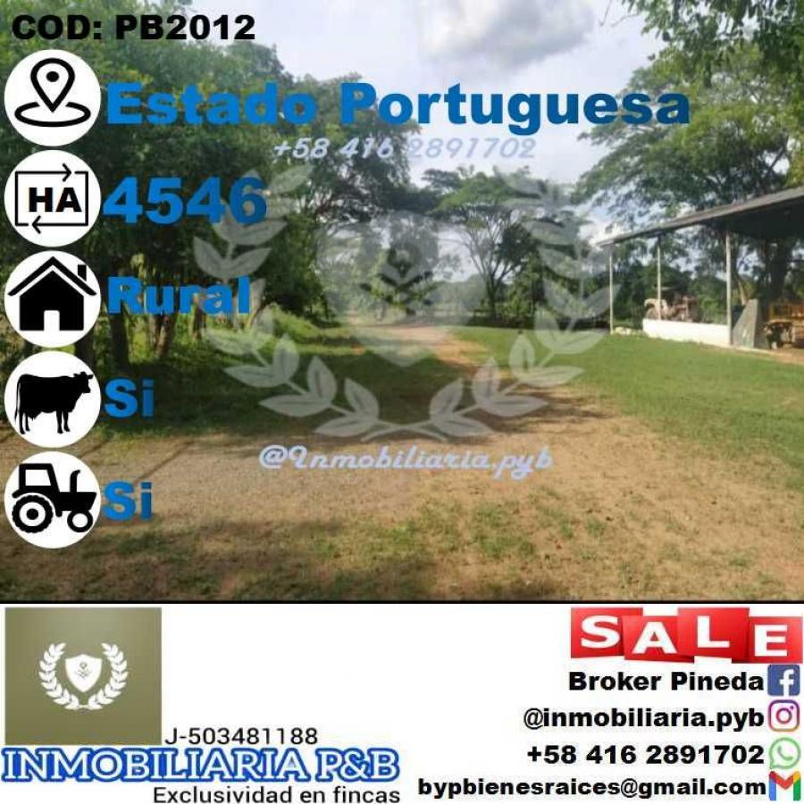 Foto Finca en Venta en Guanare, Portuguesa - 4546 hectareas - U$D 2.500.000 - FIV193997 - BienesOnLine