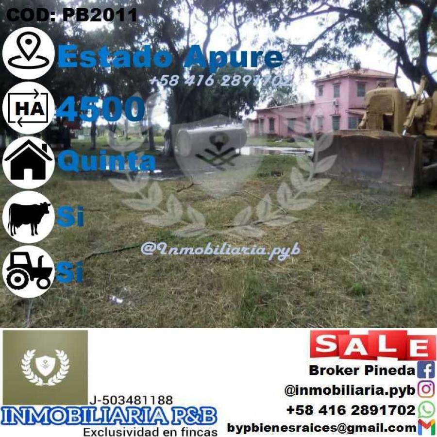 Foto Finca en Venta en Achaguas, Apure - 5000 hectareas - U$D 2.000.000 - FIV196693 - BienesOnLine