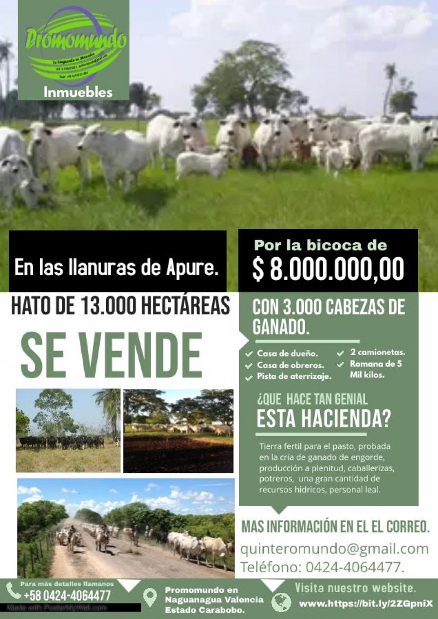 Foto Hacienda en Venta en Pez, Mantecal, Apure - U$D 8.000.000 - HAV200932 - BienesOnLine