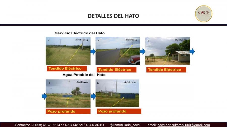 Foto Terreno en Venta en San Jos de Guanipa, Anzotegui - 5734 hectareas - U$D 57.000 - TEV164689 - BienesOnLine