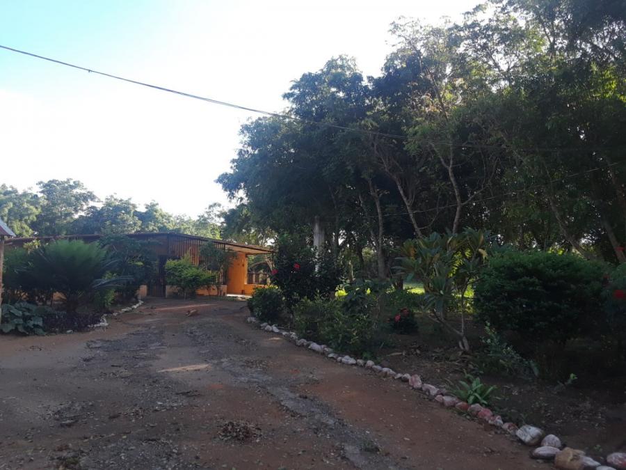 Foto Casa en Venta en Tamaca, Barquisimeto, Lara - 5 hectareas - BsF 22.000 - CAV155890 - BienesOnLine