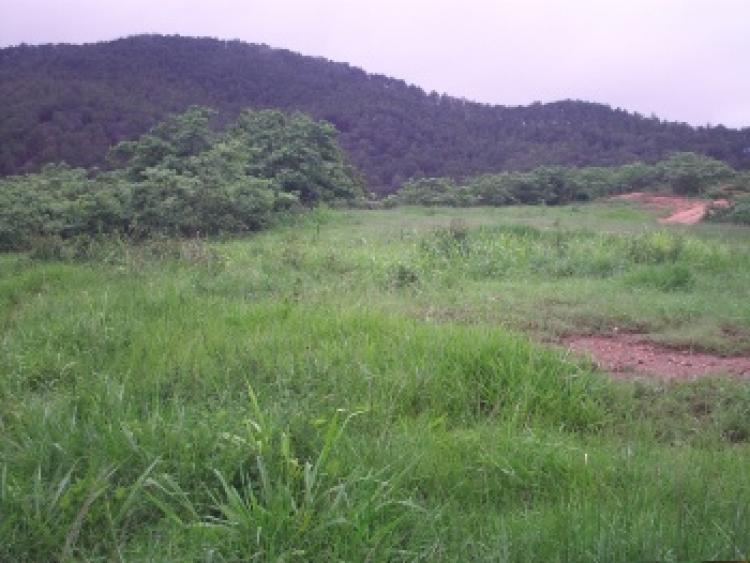 Foto Terreno en Venta en BEJUMA, , Carabobo - BsF 80.000 - TEV18323 - BienesOnLine