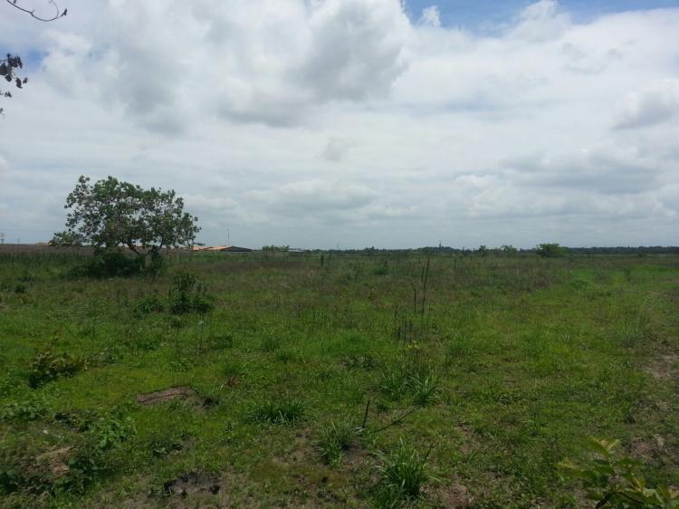 Foto Terreno en Venta en Parare, Maturn, Monagas - 40000 hectareas - TEV90210 - BienesOnLine