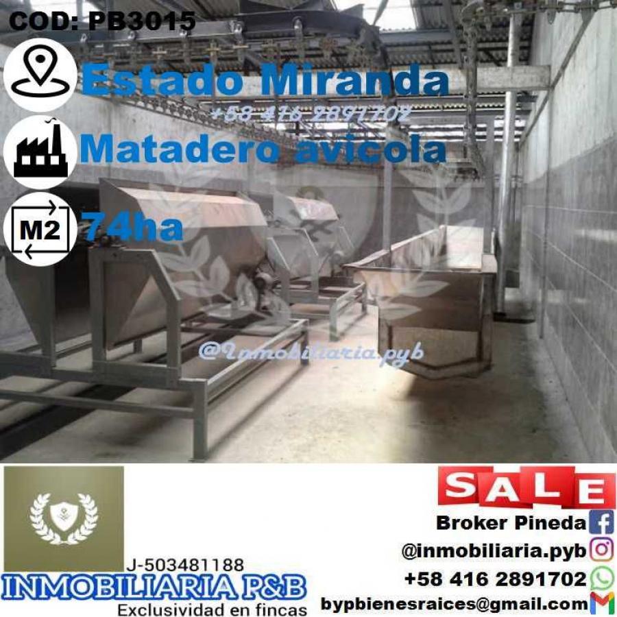 Foto Industrial en Venta en Guatire, Miranda - U$D 900.000 - INV223198 - BienesOnLine