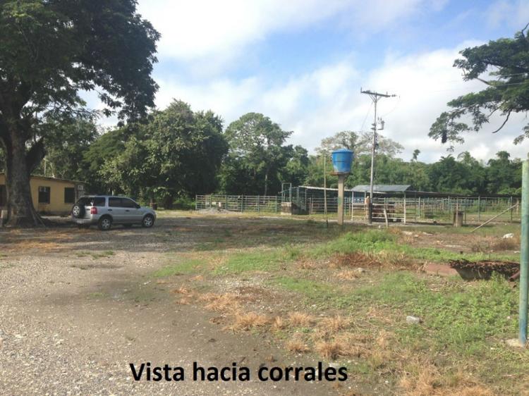 Foto Hacienda en Venta en Cojeditos, San Carlos, Cojedes - BsF 800.000.000 - HAV92978 - BienesOnLine