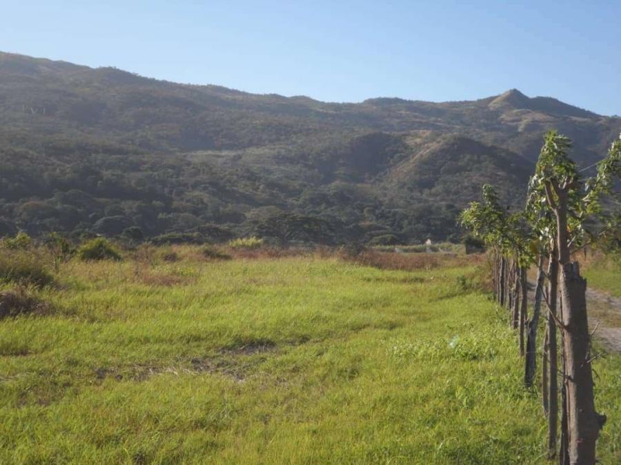 Foto Finca en Venta en Valles de Tucutunemo, Villa de Cura, Aragua - 4 hectareas - BsF 20.000 - FIV123415 - BienesOnLine